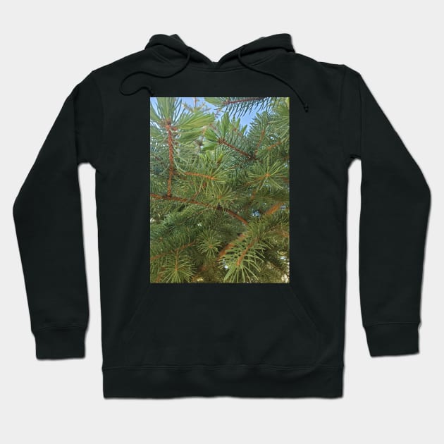 Pine Needles Hoodie by Kyarwon